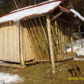 Starostlivost o zver