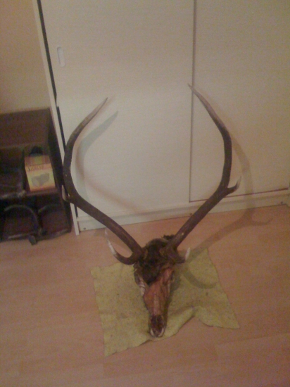 vlani strhnute vlkmi