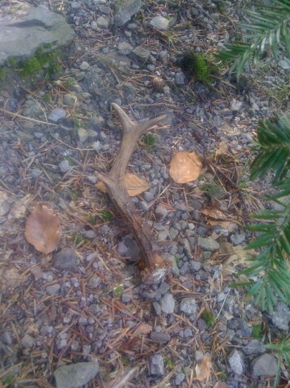 po dlhom chodeni aspon mala odmena