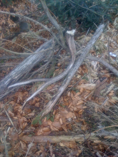 to som este netusil co ma caka