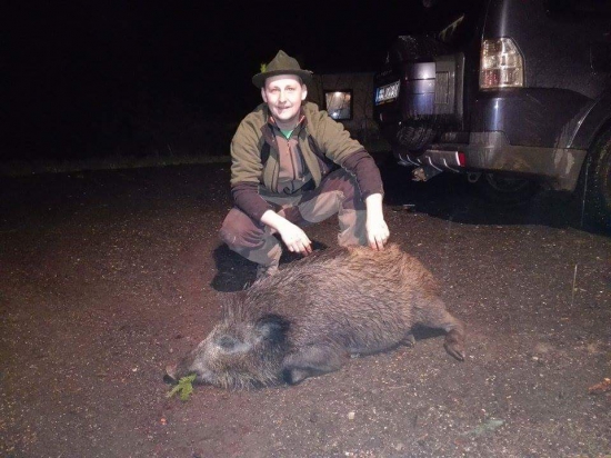 odmena za kazdodene krmenie