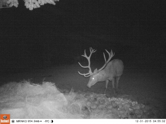 zhodarska sezona uz skoncila tak hadam uz mozem