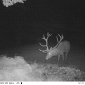 zhodarska sezona uz skoncila tak hadam uz mozem