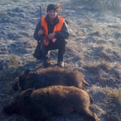 diviaciky z Rykyncic