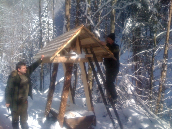 stavba noveho prikrmovacieho zariadenia