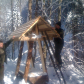 stavba noveho prikrmovacieho zariadenia