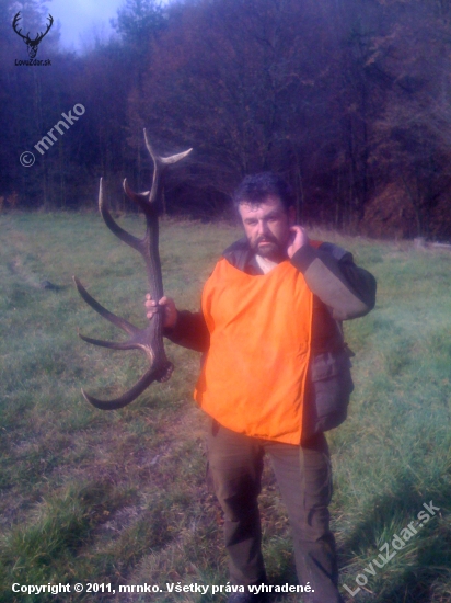na spolocnej