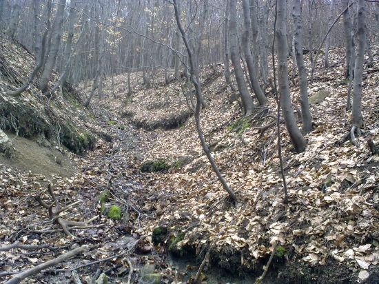 prekrasny pohlad  2O10