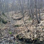 prekrasny pohlad  2O10