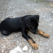 moj maly trhac