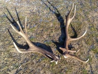 konecne spolu,vdaka kamaratovi