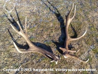konecne spolu,vdaka kamaratovi