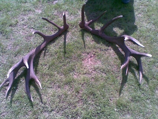 moje najkrajsie[7,80kq]18-torak