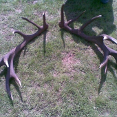 moje najkrajsie[7,80kq]18-torak