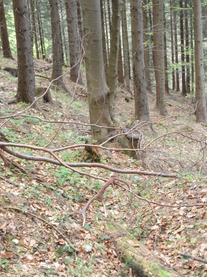 jeden z posledných v r. 2013