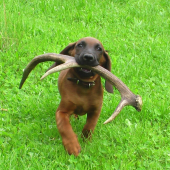 keď som bol malý