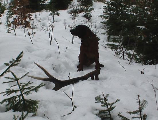 a keď som vyrástol