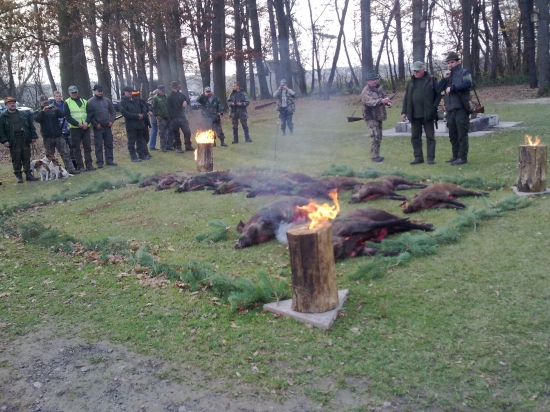 Spoločná polovačka - PZ Malacky - výrad