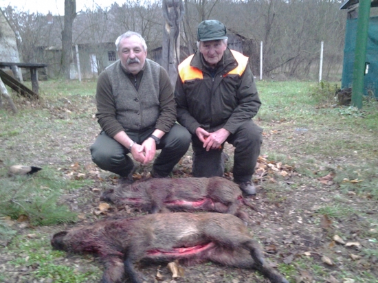 Dvaja veteráni, dvaja diviačiky