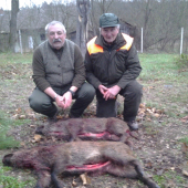 Dvaja veteráni, dvaja diviačiky