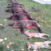 spoločnà polovačka