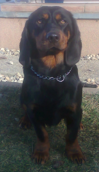 Orka dravecká dolina 10 mesiacov