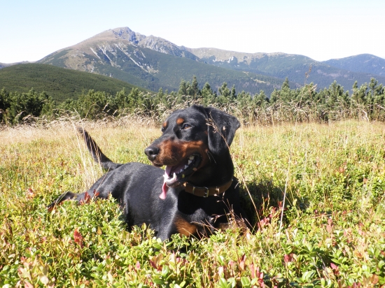 Ked sme boli na brusniciach....