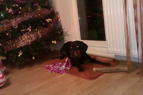 Niekto to už nevydržal... :)