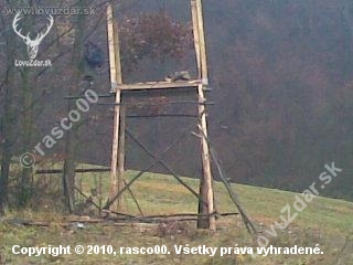kazatelna