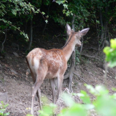 aj tak sa neotočím