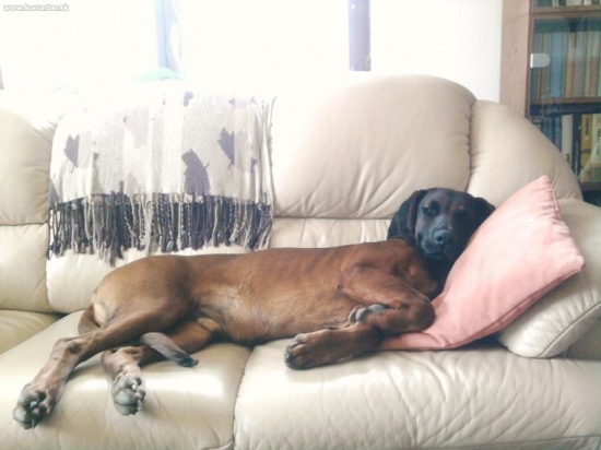 jarna unava dolahla aj na daga:))