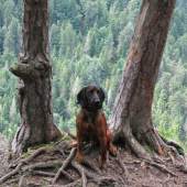 dag- slovensky raj