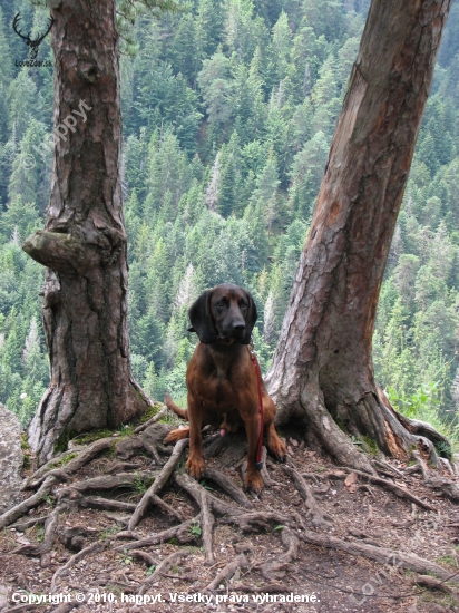 dag- slovensky raj