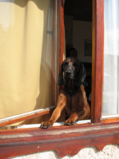 a takto ma caka na chate:)