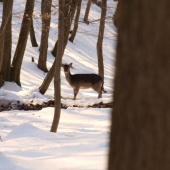 Nevidím ťa, ale viem, že si tam....