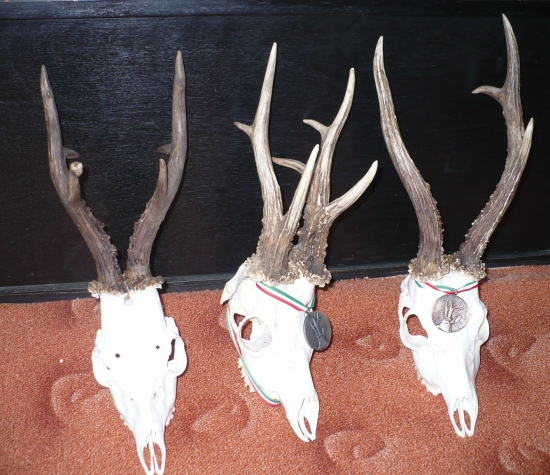 Moje prvé tohoročné