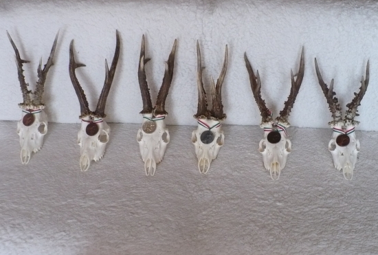 Medajlové z Maďarska