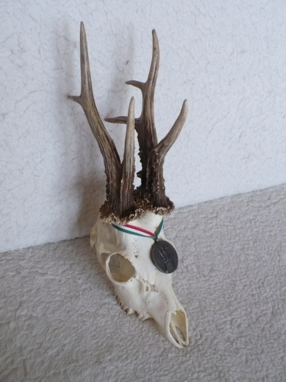 Striebro  119,64 CIC