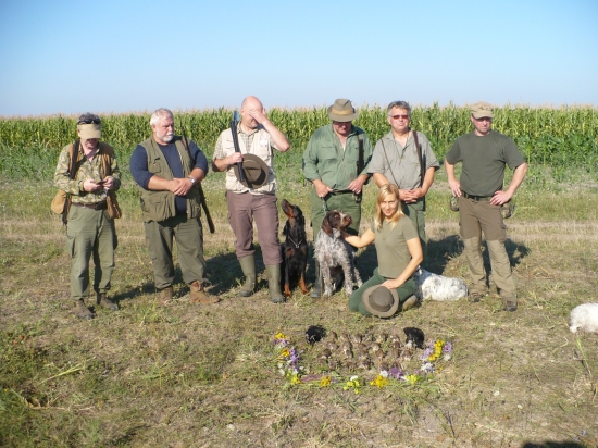 Lov prepelíc v Srbsku