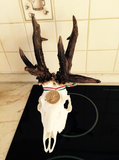 Silné zlato, 157,3 CIC