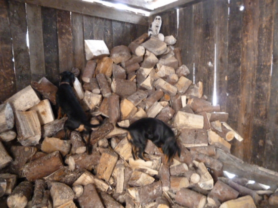 nie a nie sa k nemu dostat