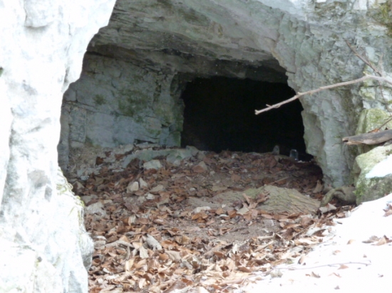 pred dvoma rokmi tu zimoval medved.