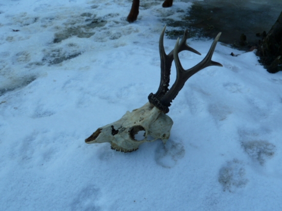 uz davnejsie najdene.