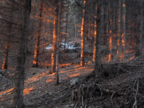 posledne vecerne luce