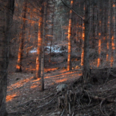 posledne vecerne luce