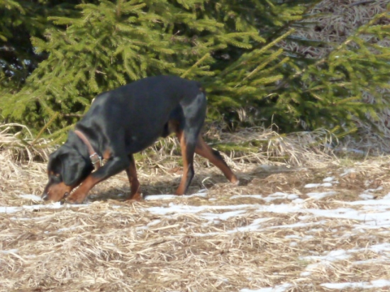 ked sa stopuje trenink