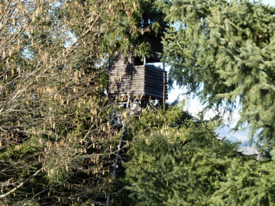 posed pekne zamaskovany.