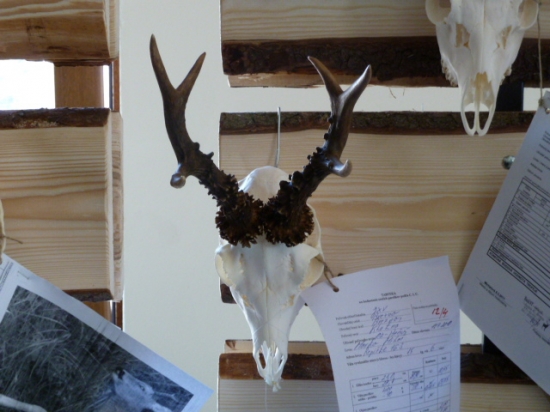 polovnicka vystava Brezno