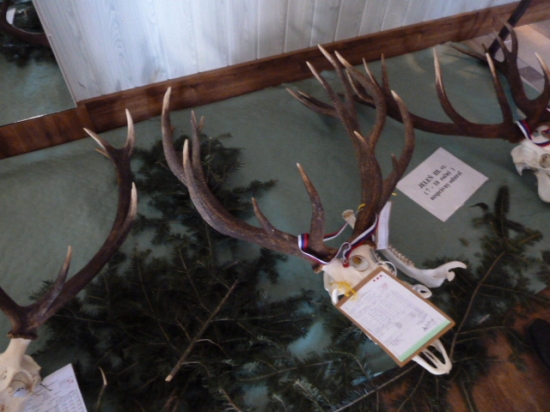 polovnicka vystava Brezno