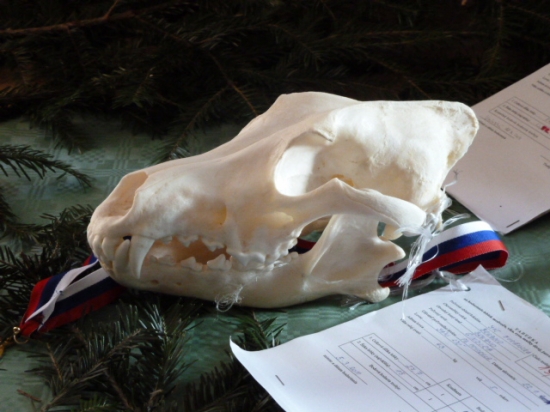 polovnicka vystava Brezno 2011